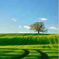 api数‍据‌接‍口﻿平‍台‌